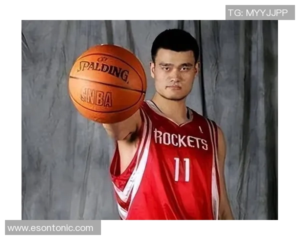 姚明秋衣数字背后的故事与篮球精神的传承与创新 姚明秋衣数字背后的故事与篮球精神的传承与创新