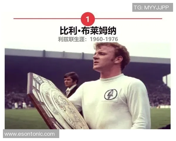 七位足球明星的传奇故事与辉煌成就盘点 七位足球明星的传奇故事与辉煌成就盘点